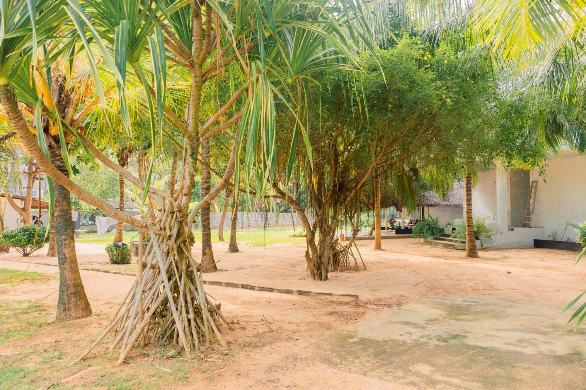 Harmony Beach Resort Tangalle Esterno foto